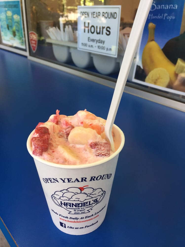 Handel’s Homemade Ice Cream & Yogurt Ice Cream & Frozen Yogurt 5655
