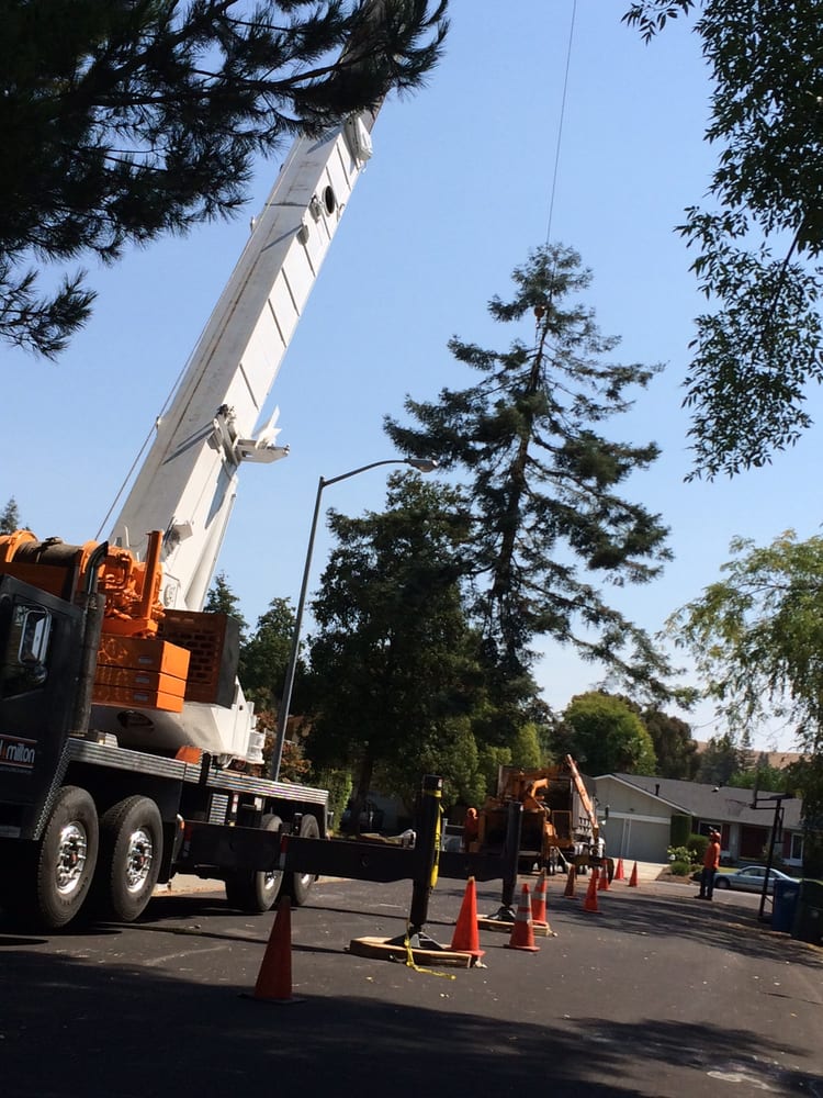 Hamilton Tree Service, Inc.
