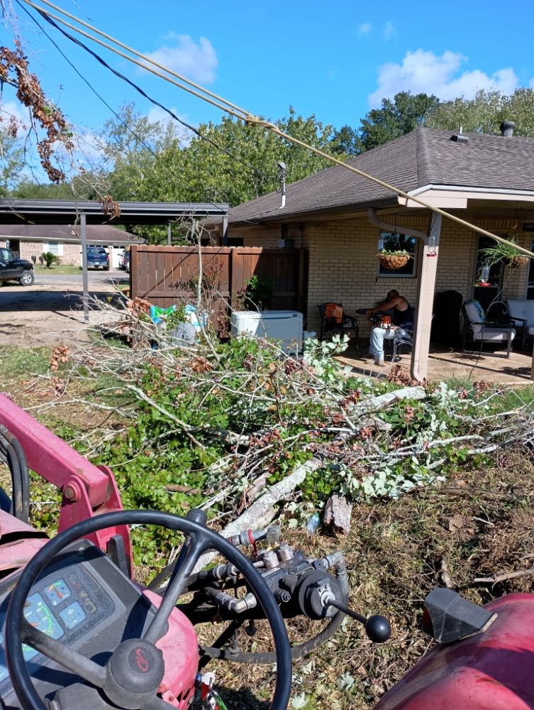 Tree Stump Tree Service