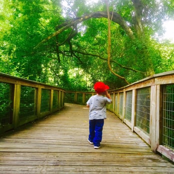Brec S Bluebonnet Swamp Nature Center Baton Rouge La Brec S Bluebonnet Swamp Nature Center Baton Rouge La