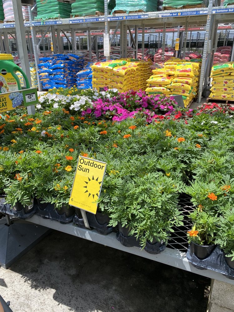 The Home Depot