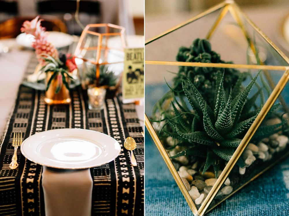 Succulents Air Plants And Terrariums Yelp Photo Of Mercedes Flowers Austin Tx United States Succulents Air Plants