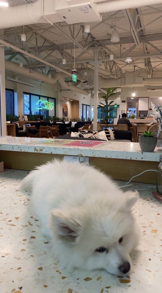 WeWork - Palo Alto