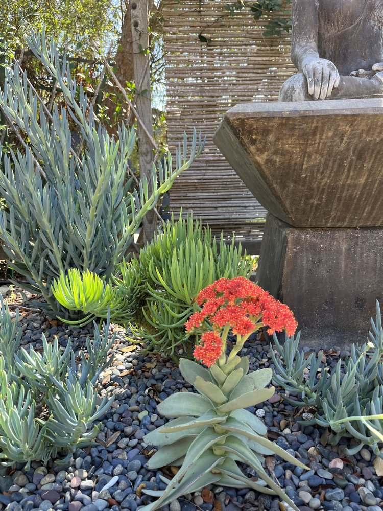 Fruition Organic Gardening