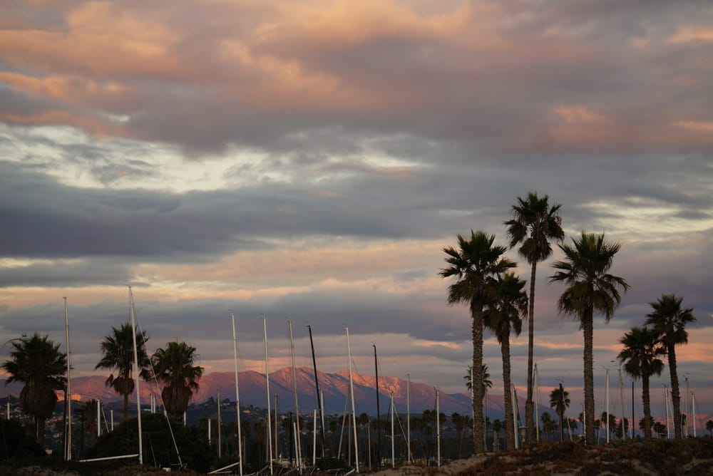 Harbor Cove Beach 67 Photos & 42 Reviews Beaches Phone Number