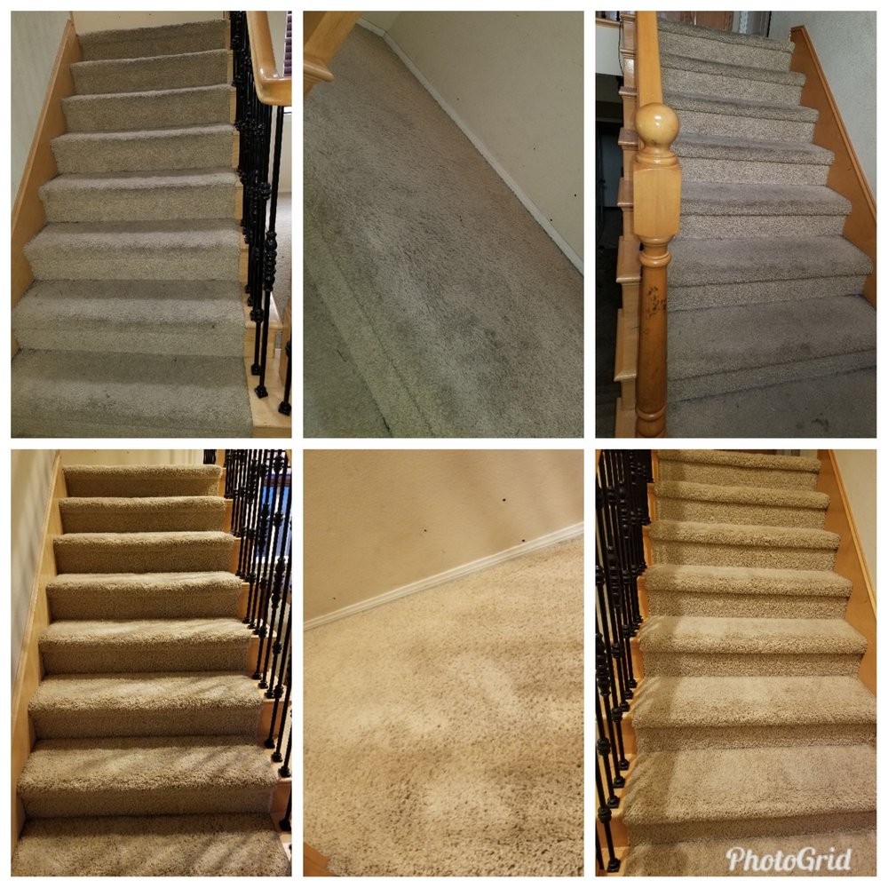 REVIVE Carpet Cleaning