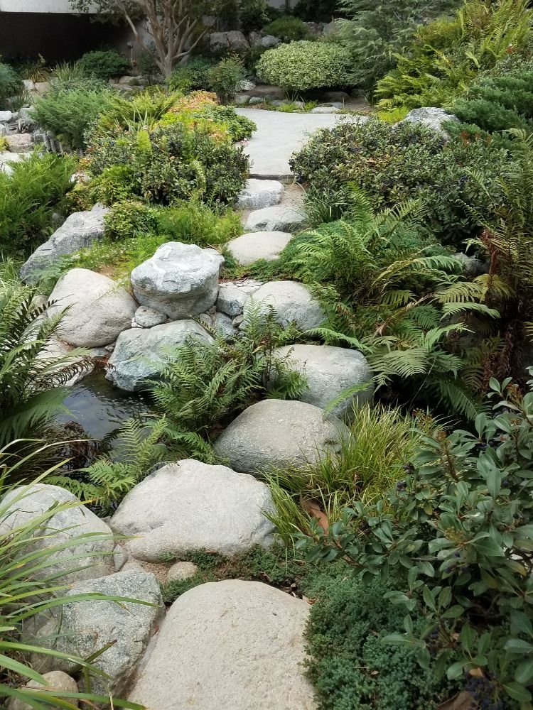 Stepping Stones Crossing A Natural Looking Stream In Los Angeles Yelp 41 Photos For Landscape Rockscape Poolscape Designs