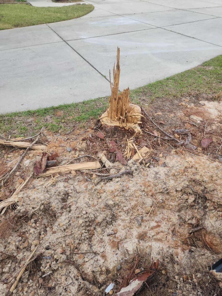 The Yard Guys Of Hampstead
