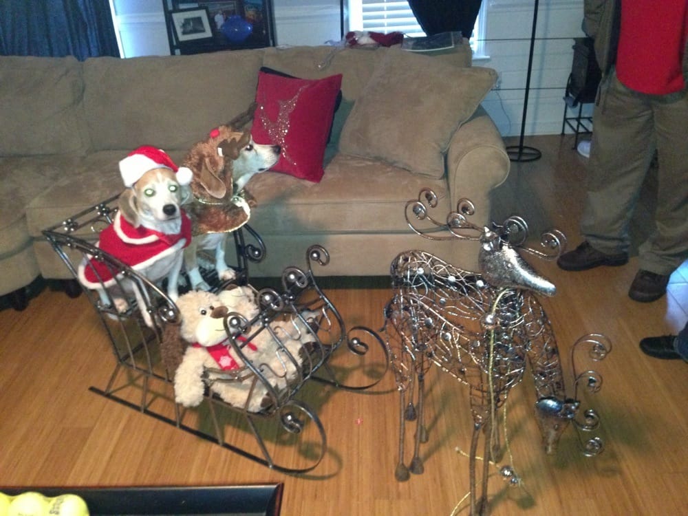 Distinct Impressions