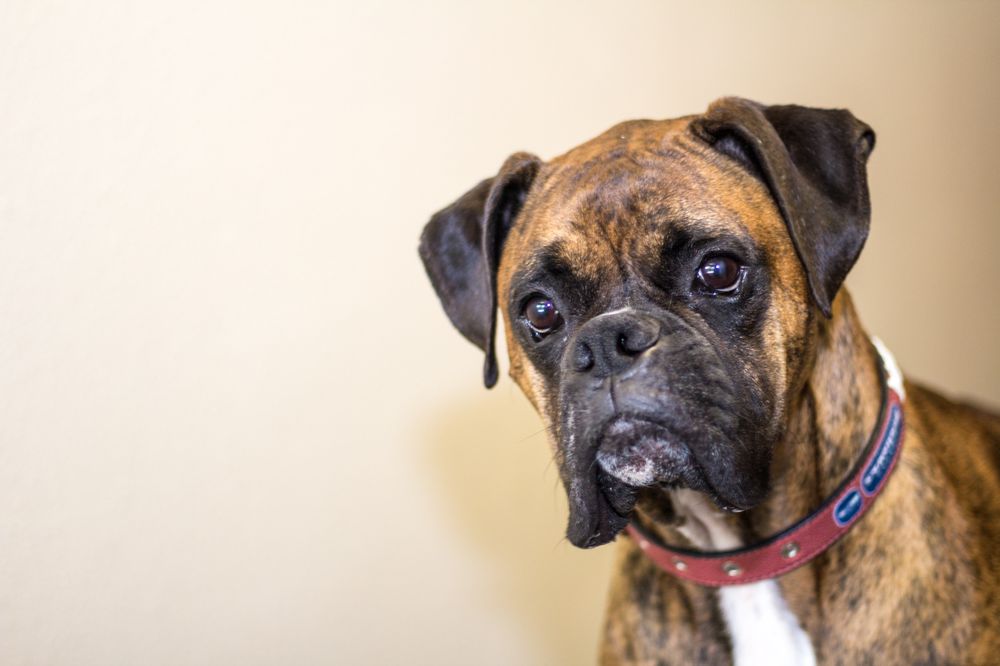 Allstate Insurance Agent: Shellie Haisch