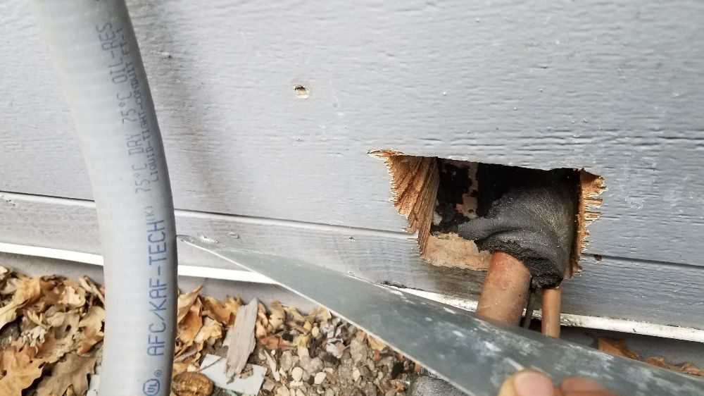 Rat Trappers Rodent Proofing