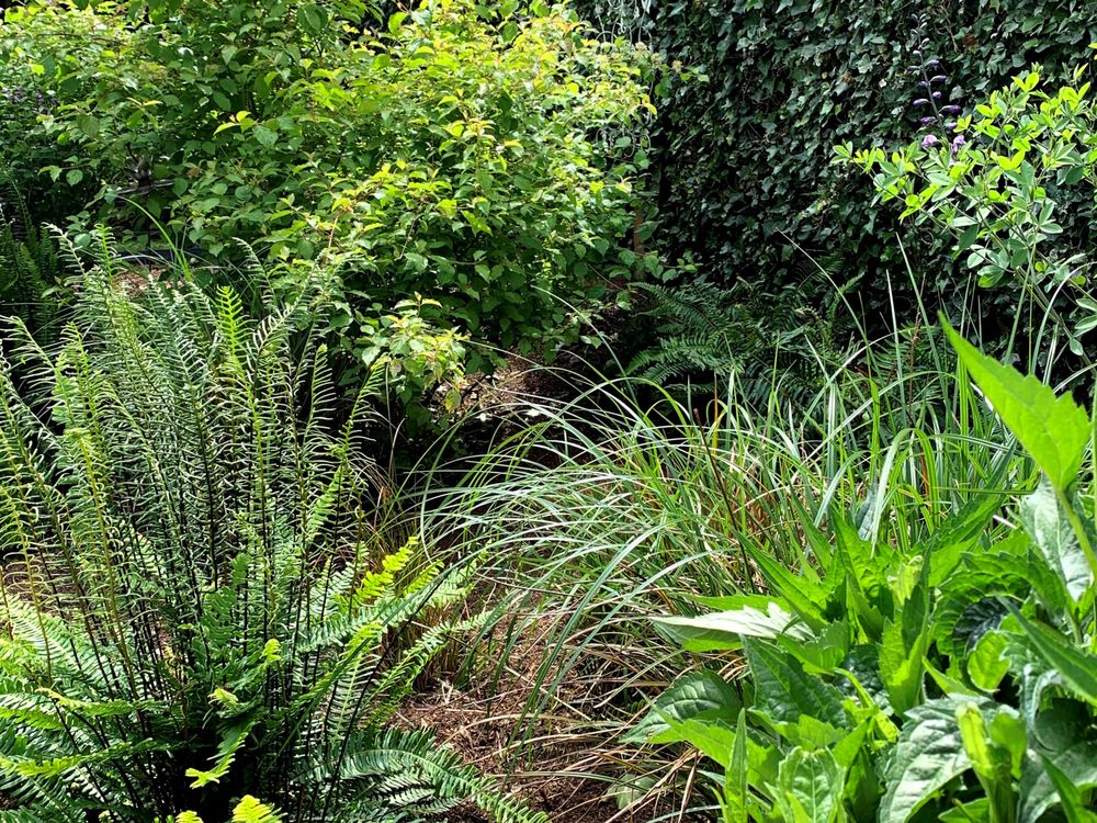 Thriving Garden Design