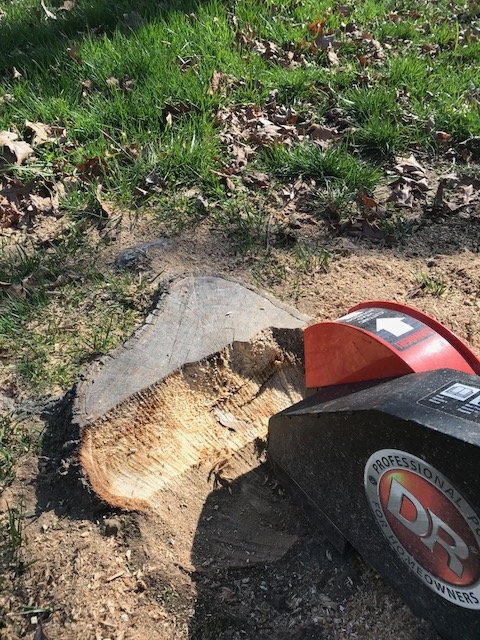 Green Earth Lawn Care