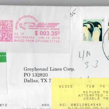 Greyhound Shipping Quote >> Busfreighter 41 Photos 88 Reviews Couriers Delivery Services Greyhound Shipping Quote >> Busfreighter 41 Photos 88 Reviews Couriers Delivery Services