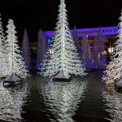 Cielo Closed 389 Photos 165 Reviews Tail Bars 40 S Photo Of Cielo Long Beach Ca United States Lighting Xmast Tree