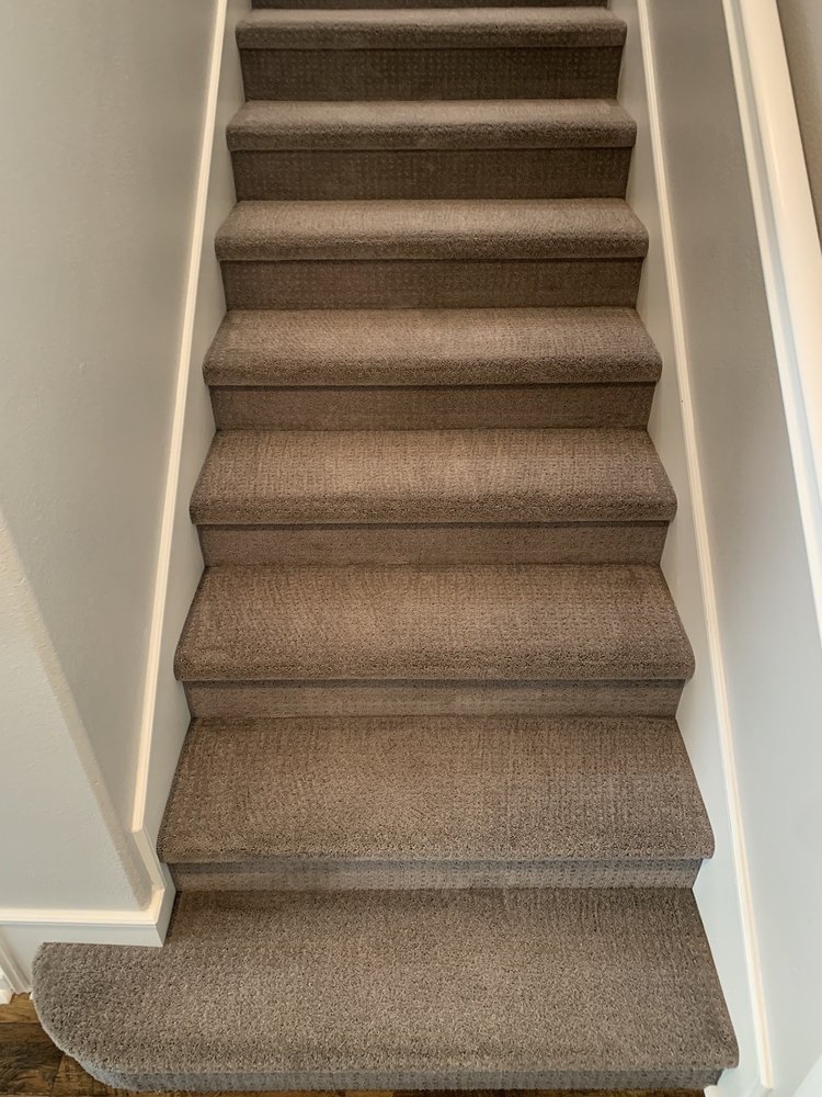 Carpet Tech Cleaning Specialists