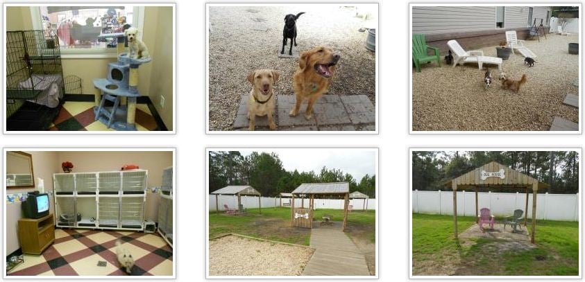 Benji S Bed And Breakfast Pawleys Island Sc Benji S Bed And Breakfast Pawleys Island Sc