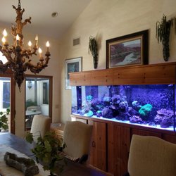 living art aquarium service