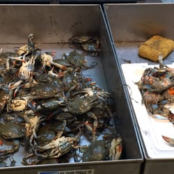 Good Fortune Chinese Restaurant Order Food Online 30 Photos 65 Photo Of Good Fortune Chinese Restaurant Arlington Va United States Crab