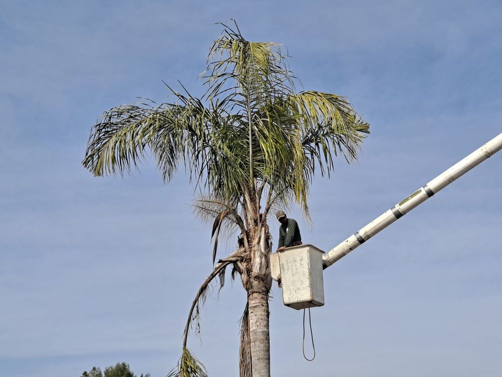 Garibay's Tree Service