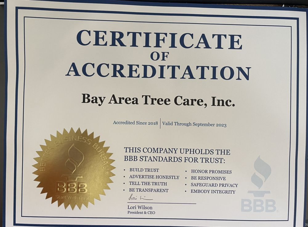 Bay Area Tree Care