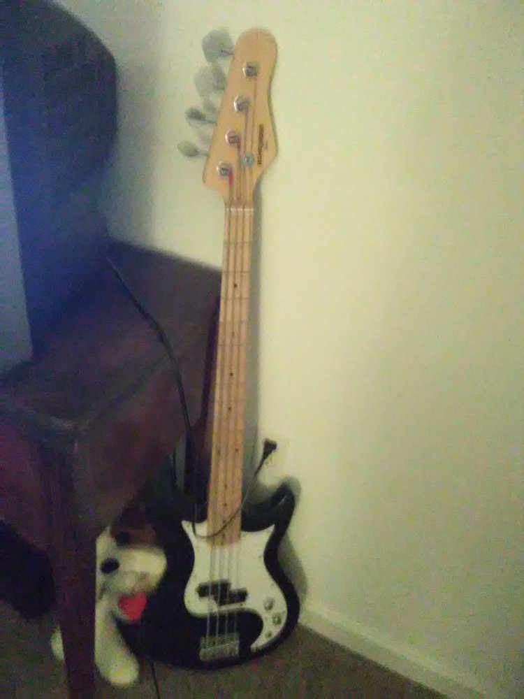 The Guitar Gallery