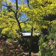 Spring Hill Nursery Gardens 16 Photos Nurseries Gardening Photo Of Spring Hill Nursery Gardens Mount Shasta Ca United States