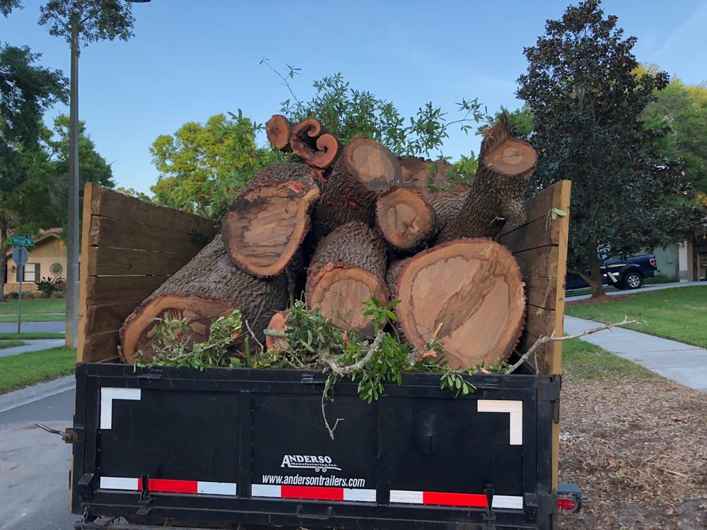 Tampa Bay Tree Service
