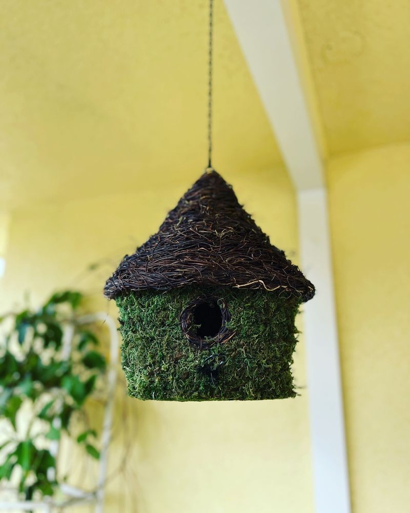 Armstrong Garden Centers