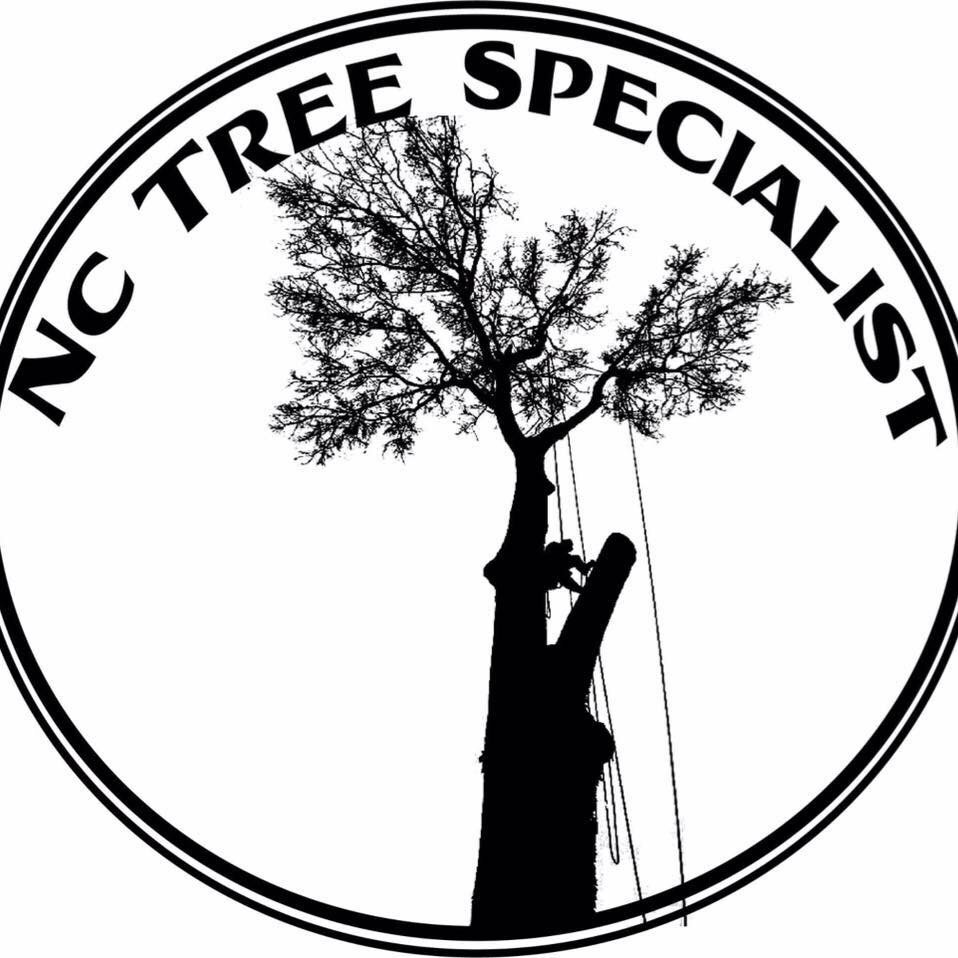 NC Tree Specialist