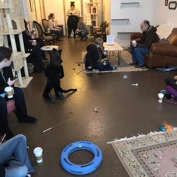 Nine Lives Cat Cafe - 247 Photos 