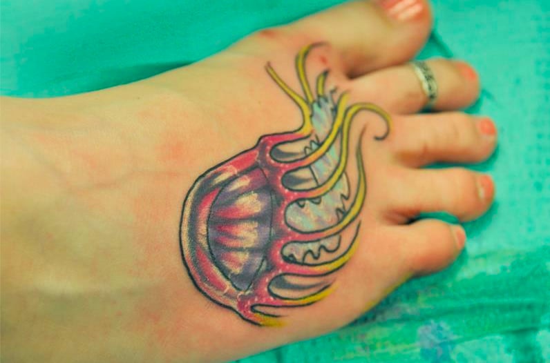 jelly fish just finished by argyle artist artistic body works sebring fl