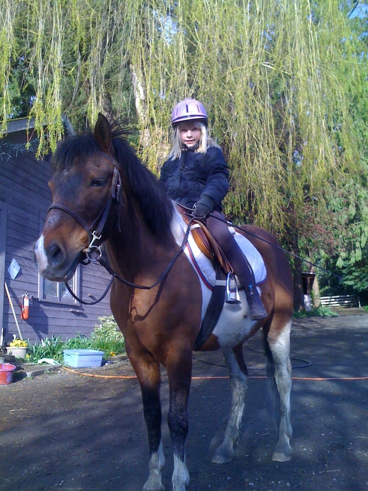 Brackenhollow Stables 14 Photos Horseback Riding 6367 208th Ave