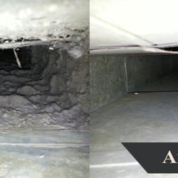 Windy City Steam Carpet Cleaners Truck Mounted Commercial Carpet Cleaning Services