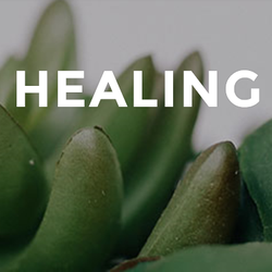 therapy in amarillo tx kingdom healing therapy 4000 south st amarillo tx therapy in amarillo tx kingdom healing therapy 4000 south st amarillo tx