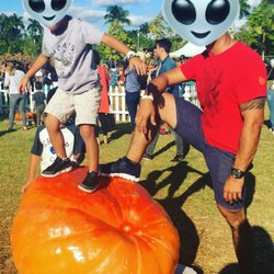 photo of coconut grove pumpkin patch festival miami fl united states one