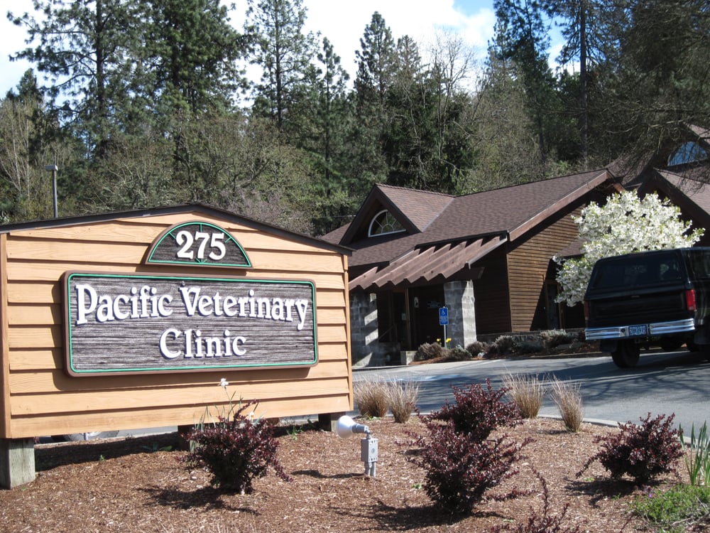 Pacific Veterinary Clinic PC 13 Reviews Veterinarians 275