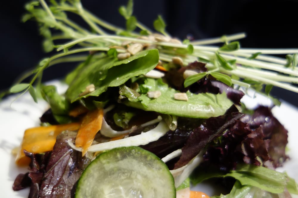 Mangy Moose Restaurant and Saloon 131 Photos & 232 Reviews American