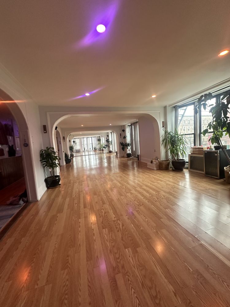 UpDog Studios 