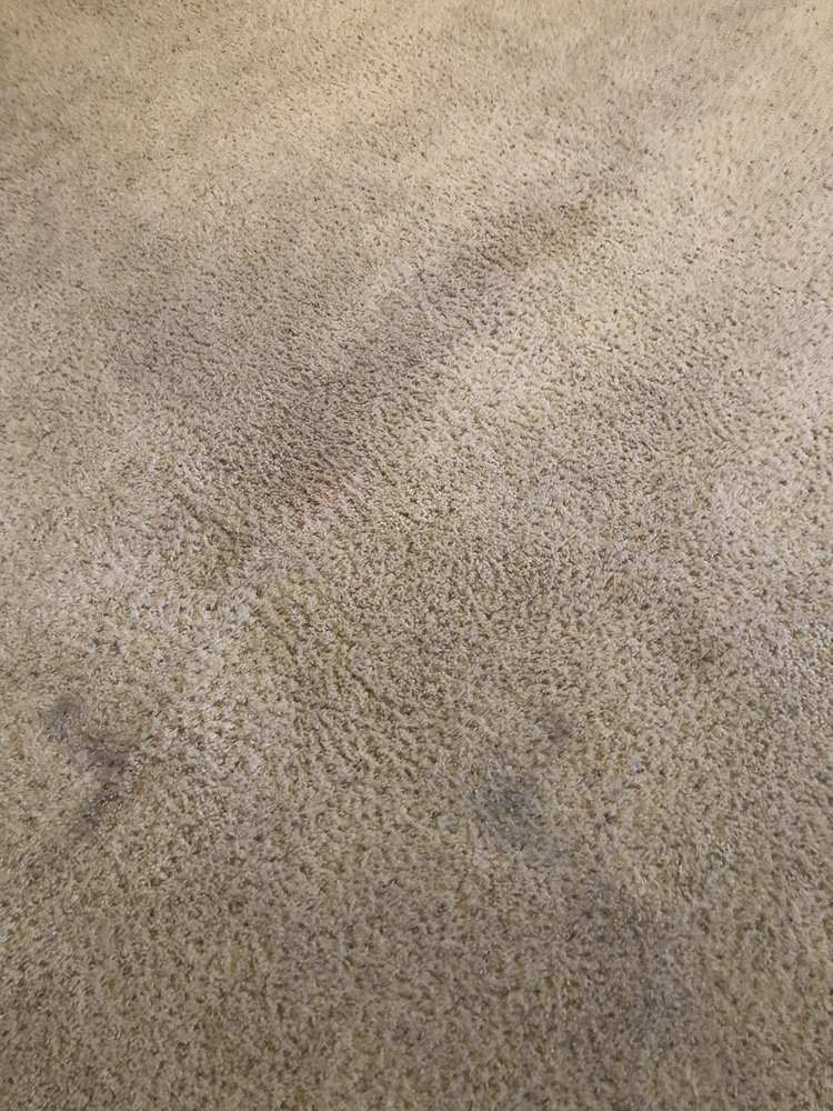 Oxi Fresh Carpet Cleaning