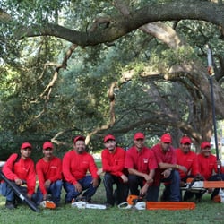 Simpson’s Tree Service - 10 Reviews - Landscaping - 2022 Shorewood Ln