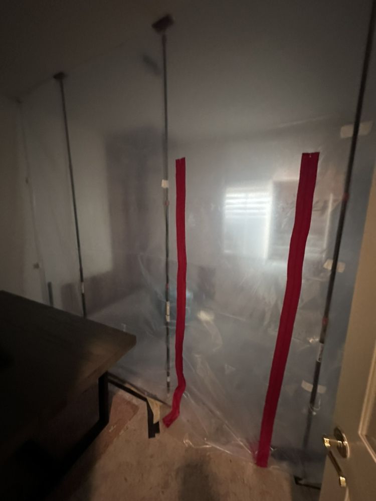Mold Doctors