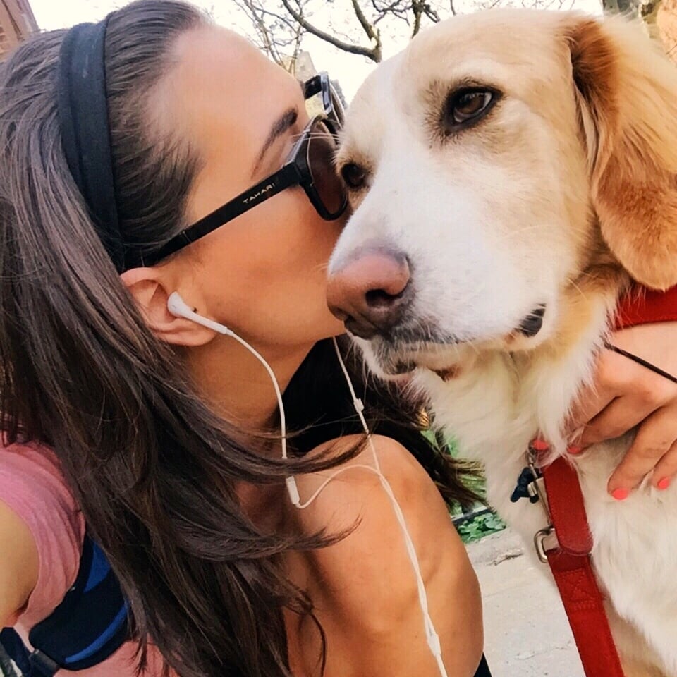 MixyPaws 111 Photos & 61 Reviews Dog Walkers 244 W 74th St, Upper