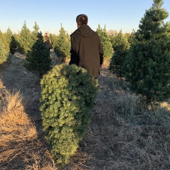 4 C Choose & Cut Christmas Tree Farm - Christmas Trees - 11229 E Photo of 4 C Choose & Cut Christmas Tree Farm - Wichita, KS, United - 4 C Choose & Cut Christmas Tree Farm - Christmas Trees - 11229 E