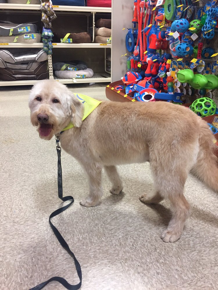 PetSmart