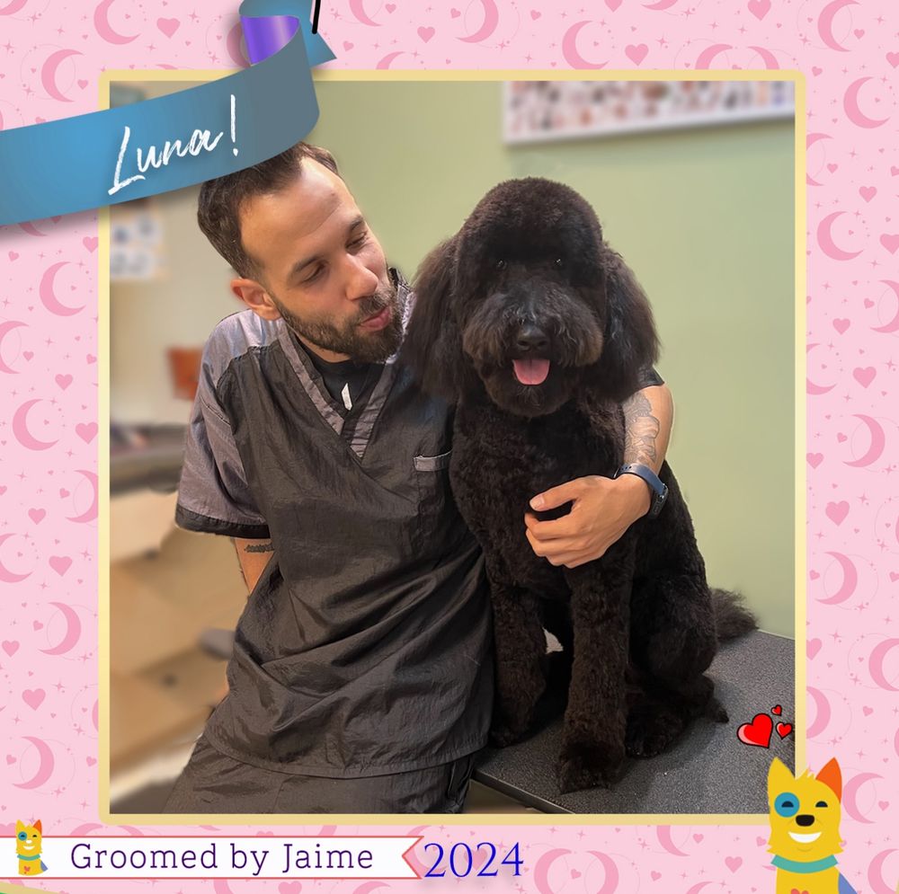 D'tails Pet Boutique & Spa Image