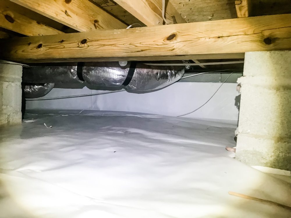 Back Bay Pest & Mosquito