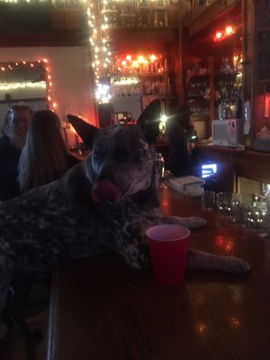 Hailey Hotel Bar Nightlife 201 S Main St Id Phone Photo Of Hailey Hotel Bar Id United States