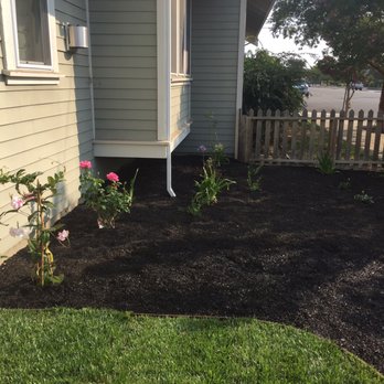 Trivalley Landscape 46 Photos 31 Reviews Landscaping 3300 Photo Of Trivalley Landscape Pleasanton Ca United States