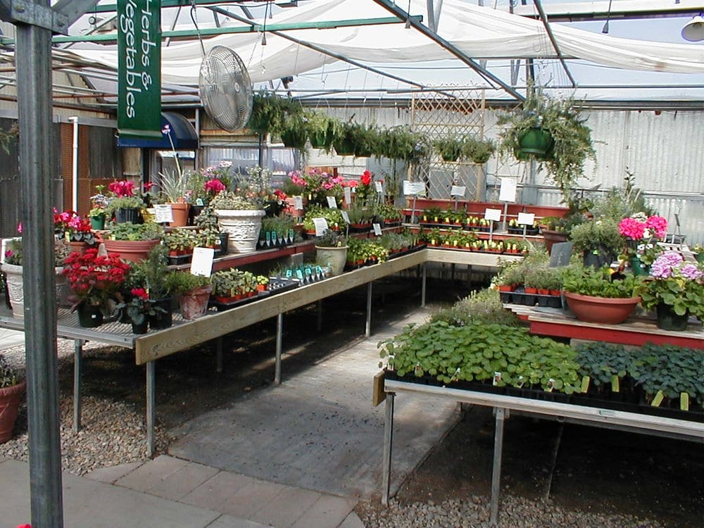 top 28 santa fe greenhouses payne s nurseries in santa fe payne s nurseries 304 alt build top 28 santa fe greenhouses payne s nurseries in santa fe payne s nurseries 304 alt build